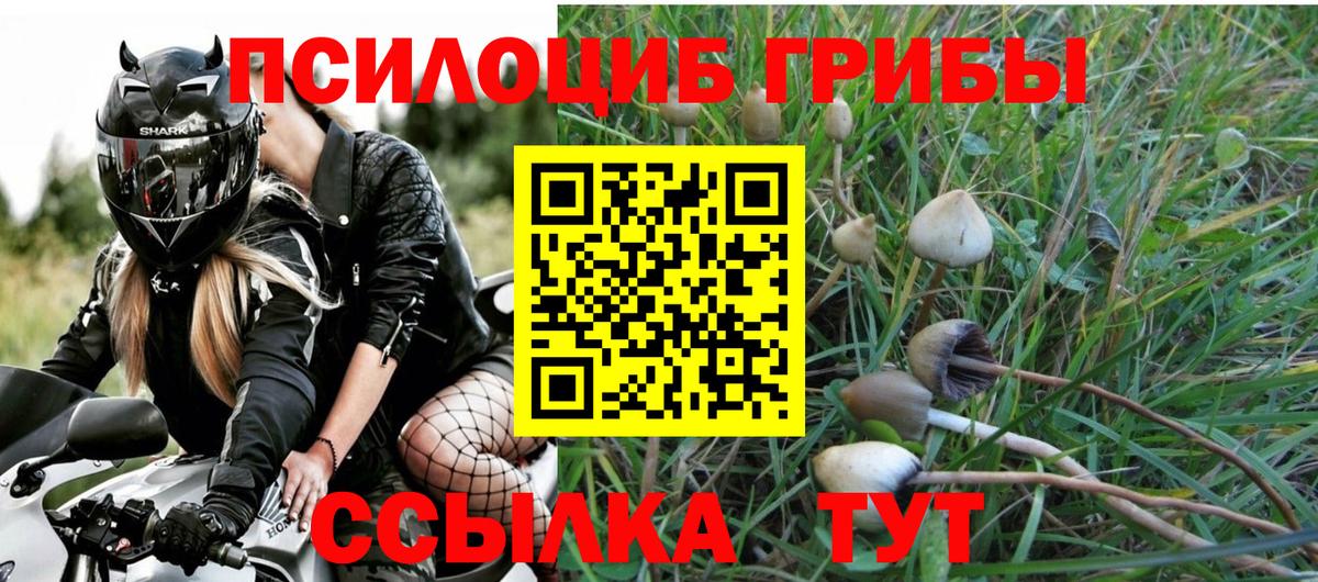 Галлюциногенные грибы прущие грибы  Вход с VPN  продажа наркотиков  Галлюциногенные грибы ЛСД  Коряжма 