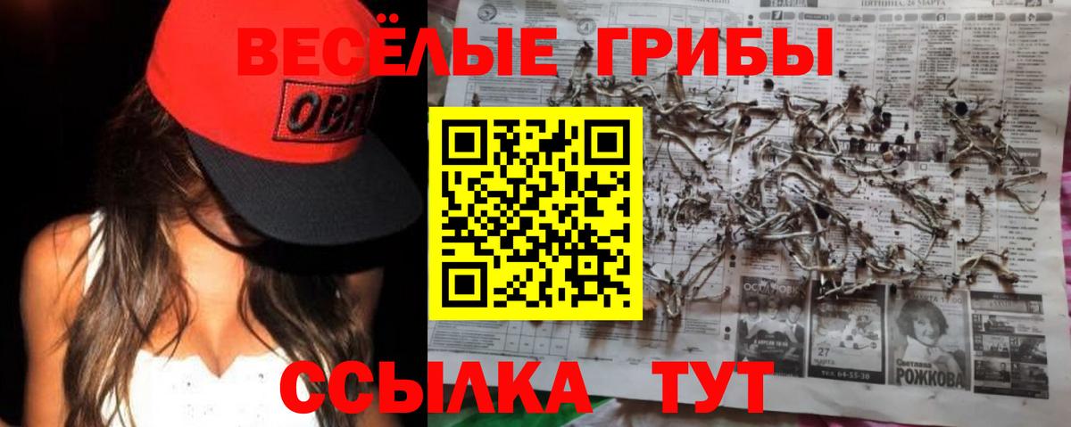 Галлюциногенные грибы Magic Shrooms Коряжма